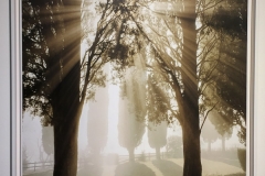 Meyerowitz-Polka_04-