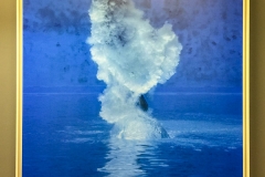 Meyerowitz-Polka_06-