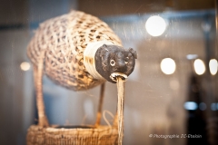 Exposition L'Amérique latine démasquée