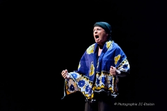 Spectacle TAC 2011